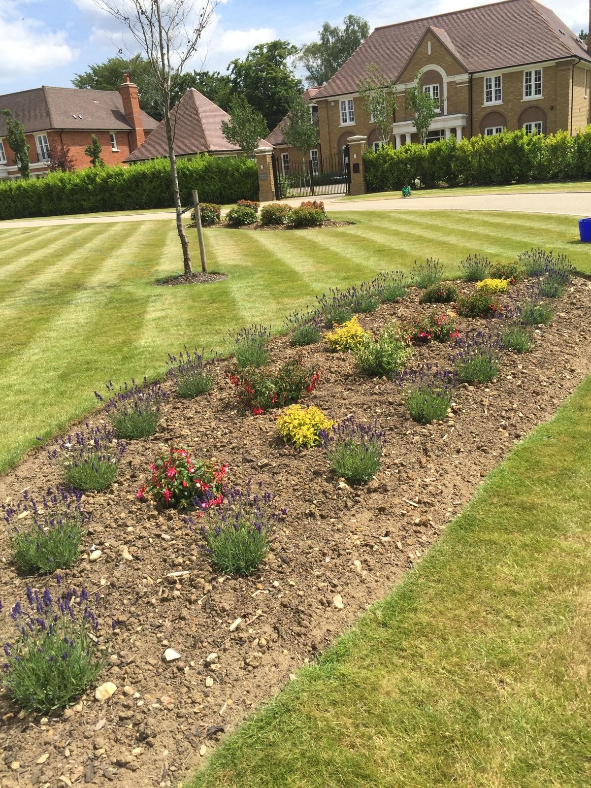 Landscaped garden with flower beds — Caterham