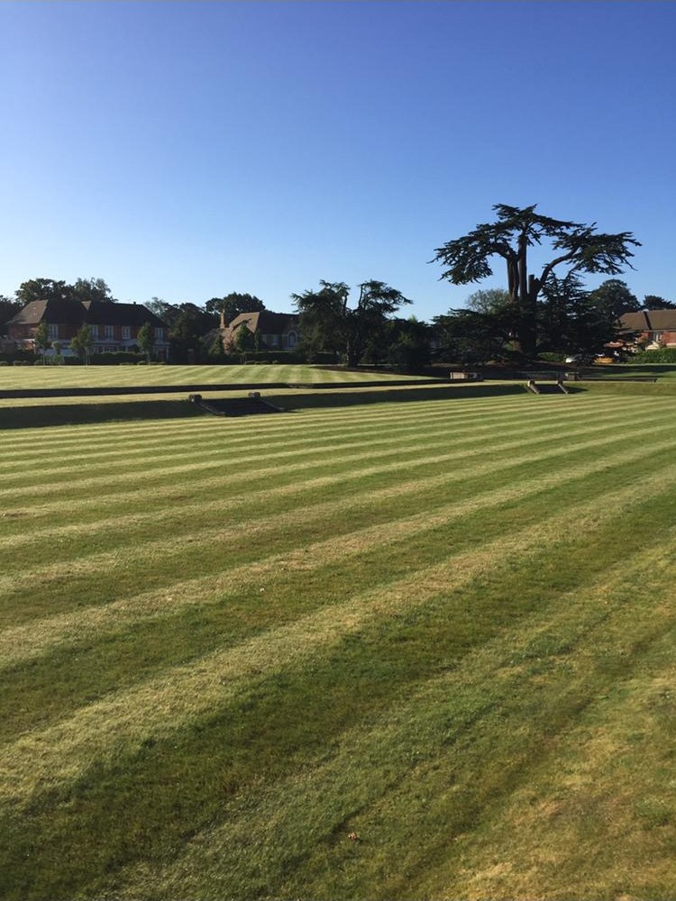 Striped estate lawn — Surrey